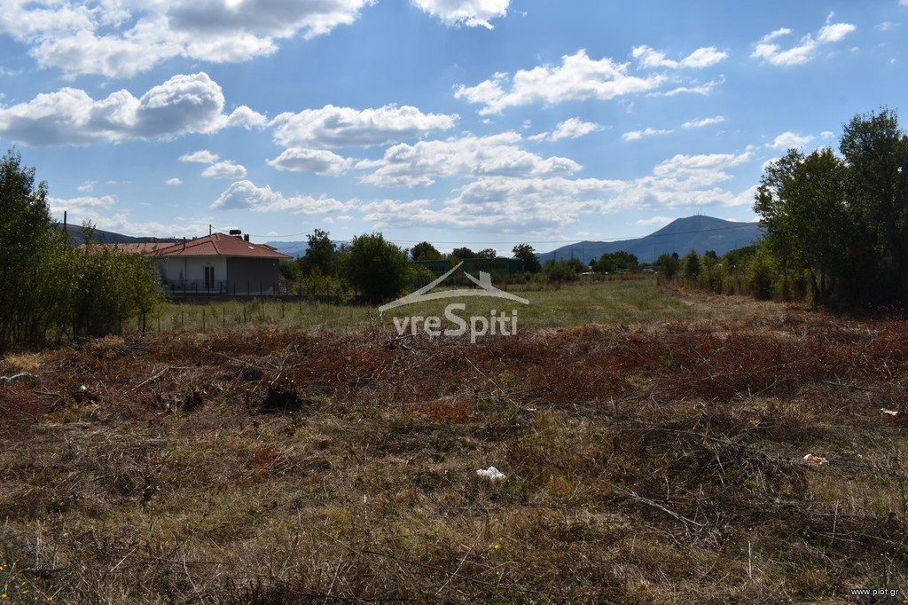 Οικόπεδο 1.126 τ.μ. πρός πώληση, Ν. Ιωαννίνων, Μπιζάνιο