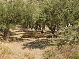 Οικόπεδο 616 τ.μ. για πώληση