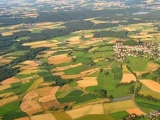 Αγροτεμάχια 8.500 τ.μ. για πώληση