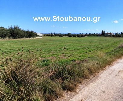 Αγροτεμάχια 19.500 τ.μ. πρός πώληση