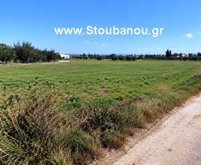 Parcel 19.500 sqm for sale