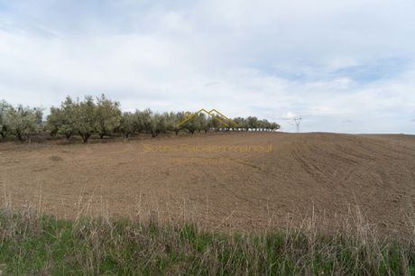 Land plot 5.380 sqm for sale