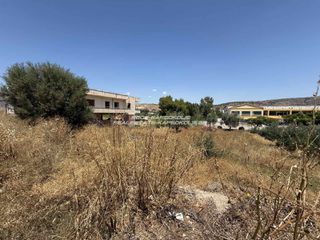 Αγροτεμάχια 366 τ.μ. πρός πώληση