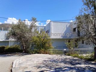 Διαμέρισμα 48 τ.μ. για πώληση, Εύβοια, Αμάρυνθος-thumb-17