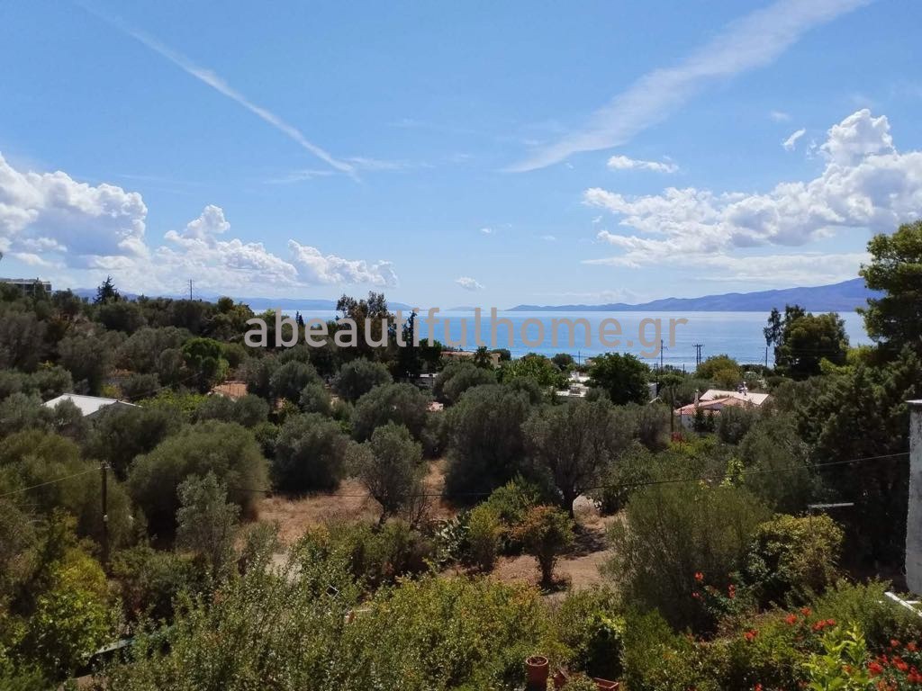 Διαμέρισμα 48 τ.μ. πρός πώληση, Εύβοια, Αμάρυνθος
