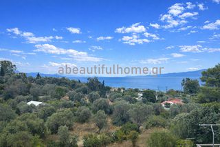 Διαμέρισμα 48 τ.μ. για πώληση, Εύβοια, Αμάρυνθος-thumb-15