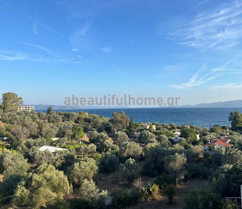 Διαμέρισμα 48 τ.μ. για πώληση, Εύβοια, Αμάρυνθος