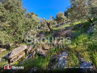 Αγροτεμάχια 3.553 τ.μ. προς πώληση, Περιοχή Χώρας Λευκάδας-thumb-13