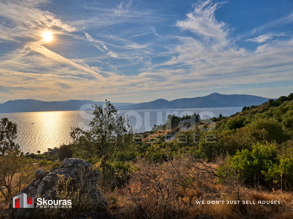 Αγροτεμάχια 16.500 τ.μ. πρός πώληση, Αιτωλοακαρνανία, Κεκροπία (παλαίρου)