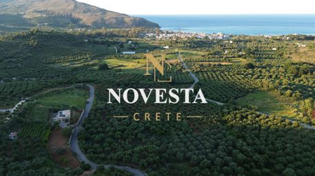 Αγροτεμάχια 4.974,96 τ.μ. πρός πώληση