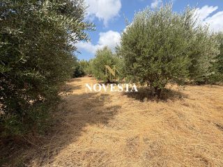 Μονοκατοικία 85 τ.μ. για πώληση, Ν. Ρεθύμνου, Γεροπόταμος-thumb-16