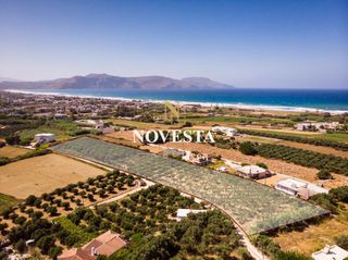 Οικόπεδο 8.793,45 τ.μ. για πώληση