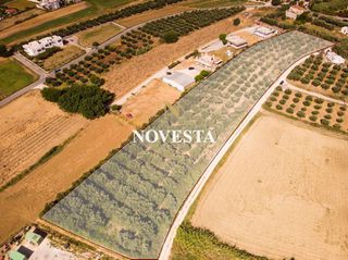 Οικόπεδο 8.793,45 τ.μ. πρός πώληση, Ν. Χανίων, Γεωργιούπολη-thumb-7