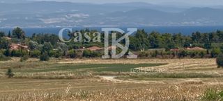 Αγροτεμάχια 2.800 τ.μ. για πώληση