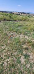 Parcel 5.000 sqm for sale