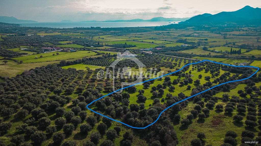Αγροτεμάχια 36.000 τ.μ. πρός πώληση, Αιτωλοακαρνανία, Κεκροπία (παλαίρου)