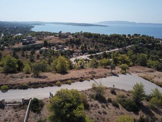 Οικόπεδο 400 τ.μ. για πώληση, Αργολίδα, Κρανίδι-thumb-5