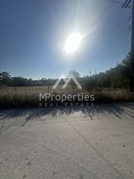 Land plot 2.071 sqm for sale