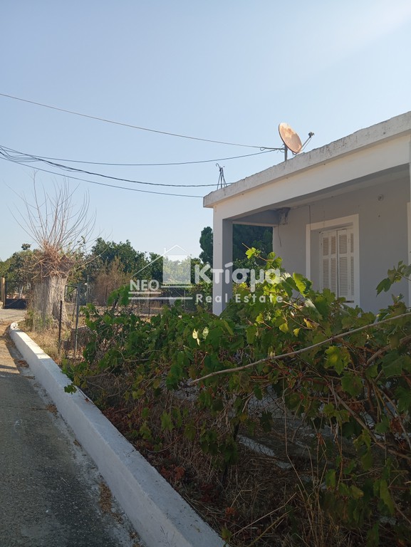 Μονοκατοικία 48 τ.μ. πρός πώληση, Ν. Ηλείας, Πύργος