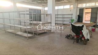 Βιομηχανικός χώρος 299 τ.μ. για ενοικίαση, Ν. Λασιθίου, Ιεράπετρα-thumb-12