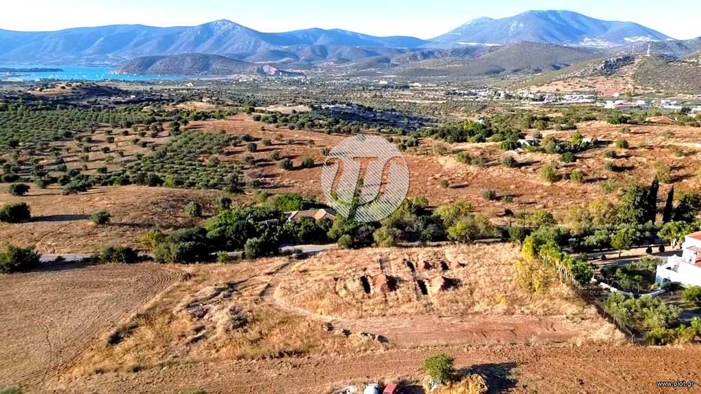 Οικόπεδο 4.000 τ.μ. πρός πώληση, Αργολίδα, Κρανίδι