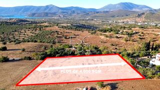 Οικόπεδο 4.000 τ.μ. για πώληση
