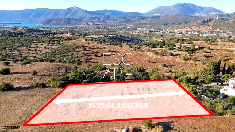 Οικόπεδο 4.000 τ.μ. για πώληση, Αργολίδα, Κρανίδι