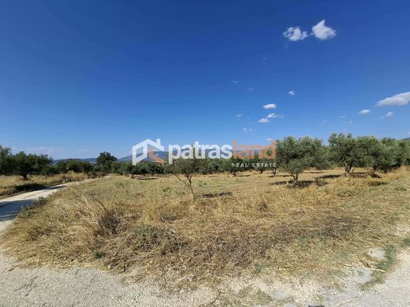Αγροτεμάχια 13.800 τ.μ. για πώληση, Αχαΐα, Ωλένια