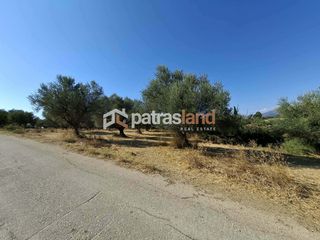 Αγροτεμάχια 13.800 τ.μ. για πώληση, Αχαΐα, Ωλένια-thumb-3