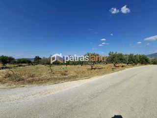Αγροτεμάχια 13.800 τ.μ. για πώληση, Αχαΐα, Ωλένια-thumb-4