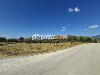 Αγροτεμάχια 13.800 τ.μ. για πώληση, Αχαΐα, Ωλένια-thumb-1