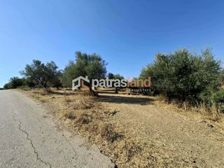 Αγροτεμάχια 13.800 τ.μ. για πώληση, Αχαΐα, Ωλένια-thumb-2