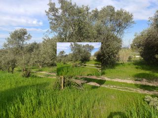 Αγροτεμάχια 2.100 τ.μ. προς πώληση