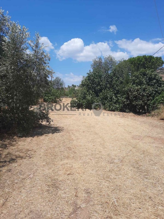 Οικόπεδο 1.200 τ.μ. πρός πώληση, Αττική - Υπόλοιπο, Καλύβια Θορικού