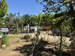 Οικόπεδο 7.001 τ.μ. προς πώληση, Κάπελη-thumb-12