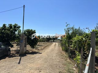 Οικόπεδο 7.001 τ.μ. προς πώληση, Κάπελη-thumb-13