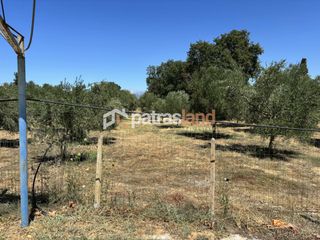 Οικόπεδο 7.001 τ.μ. προς πώληση, Κάπελη-thumb-16