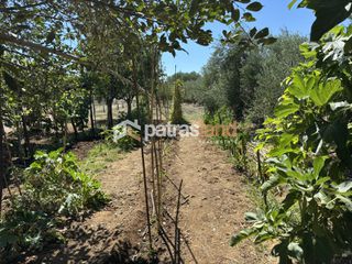 Οικόπεδο 7.001 τ.μ. προς πώληση, Κάπελη-thumb-14
