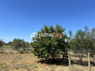Οικόπεδο 7.001 τ.μ. προς πώληση, Κάπελη-thumb-15