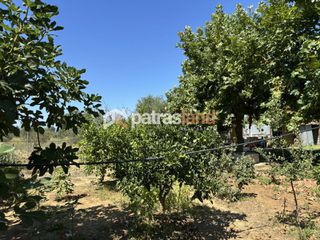 Οικόπεδο 7.001 τ.μ. προς πώληση, Κάπελη-thumb-10