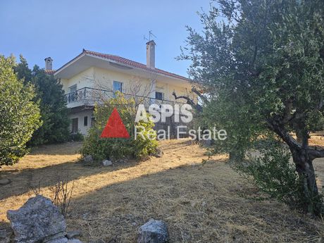 Μονοκατοικία 390 τ.μ. πρός πώληση
