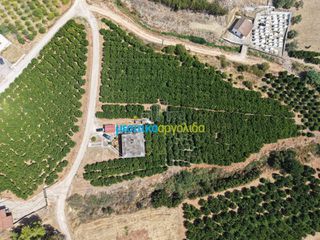 Μονοκατοικία 100 τ.μ. για πώληση, Αργολίδα, Άργος-thumb-20