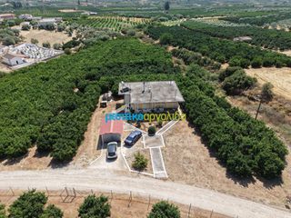 Μονοκατοικία 100 τ.μ. για πώληση, Αργολίδα, Άργος-thumb-18