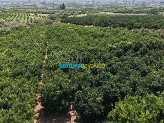 Μονοκατοικία 100 τ.μ. για πώληση, Αργολίδα, Άργος-thumb-33