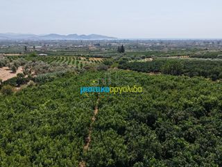 Μονοκατοικία 100 τ.μ. για πώληση, Αργολίδα, Άργος-thumb-34