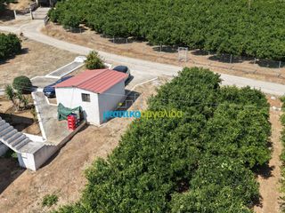Μονοκατοικία 100 τ.μ. για πώληση, Αργολίδα, Άργος-thumb-32