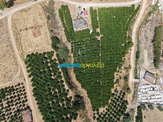 Μονοκατοικία 100 τ.μ. για πώληση, Αργολίδα, Άργος-thumb-21