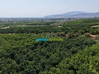 Μονοκατοικία 100 τ.μ. για πώληση, Αργολίδα, Άργος-thumb-35