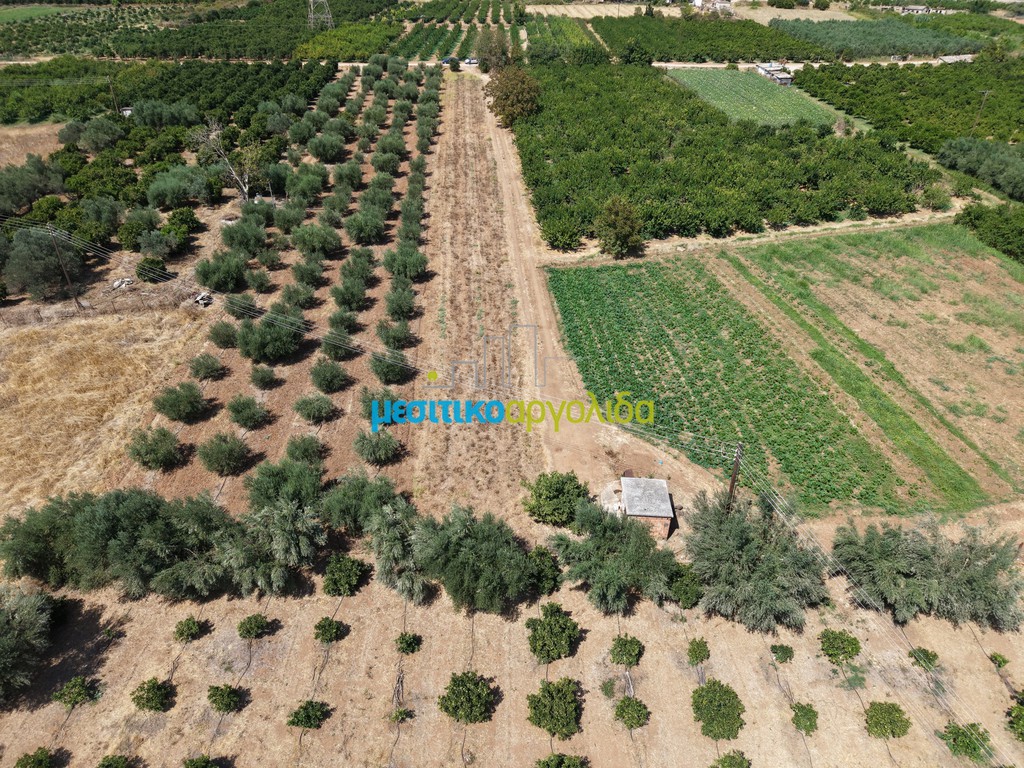 Αγροτεμάχια 5.000 τ.μ. προς πώληση, Άργος