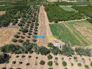 Αγροτεμάχια 5.000 τ.μ. για πώληση, Αργολίδα, Άργος-thumb-2